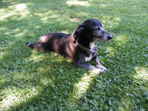 Morty the Mascot.jpg