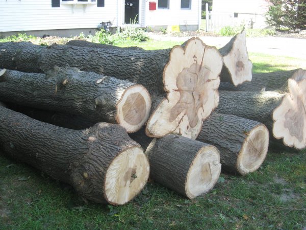 carville logs 001.JPG