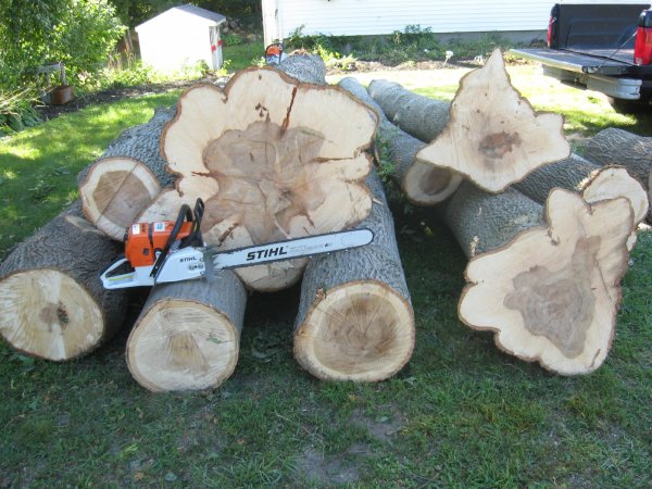 carville logs 013.JPG