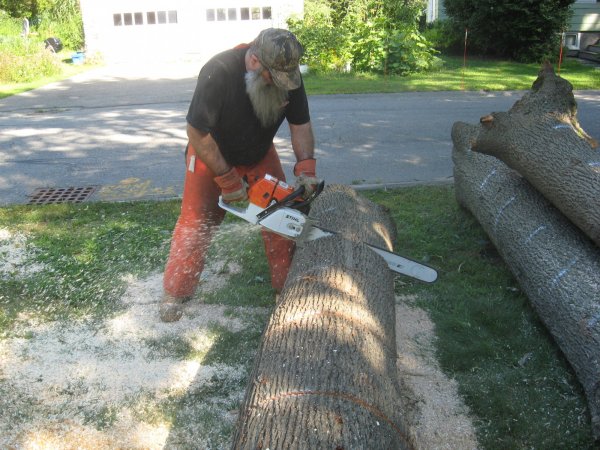 carville logs 016.JPG