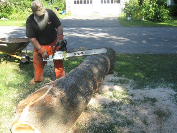 carville logs 020.JPG