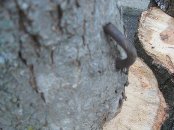carville logs 022.JPG