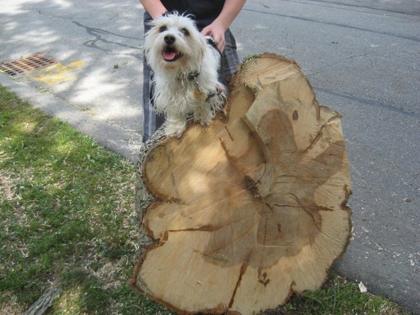 carvilles plitting and finish 008.JPG