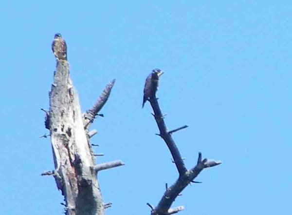 100_9104.JPG