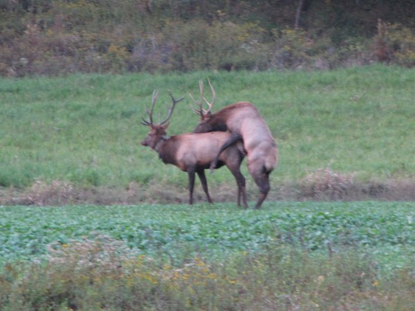IMG_0351.jpg
