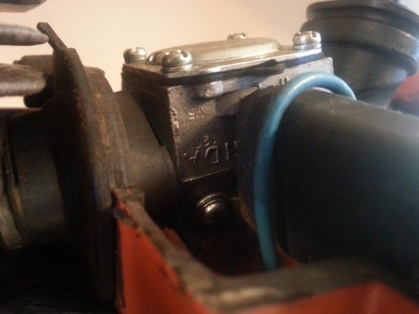 20150801_114131.jpg