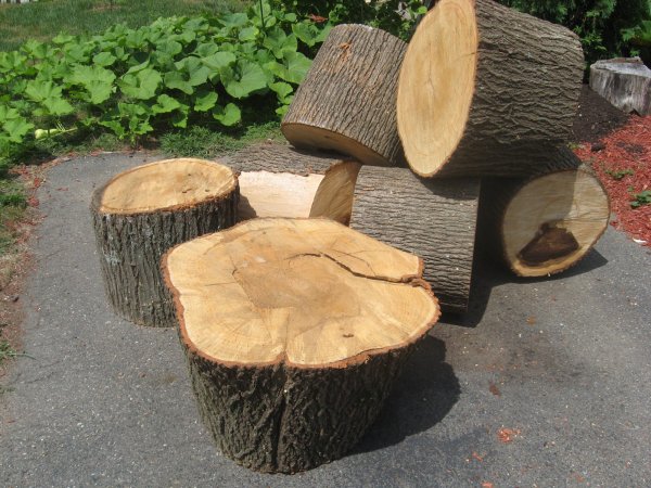 garden stacks cabinet saws 037.JPG