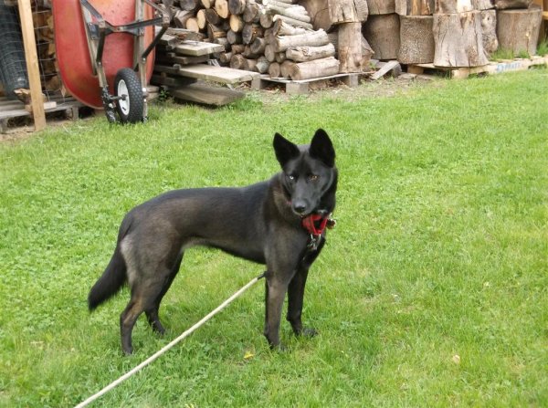 DSCF1155 (Large).JPG