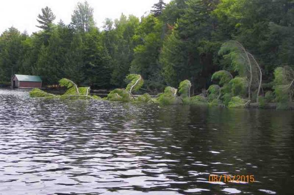 100_9132.JPG