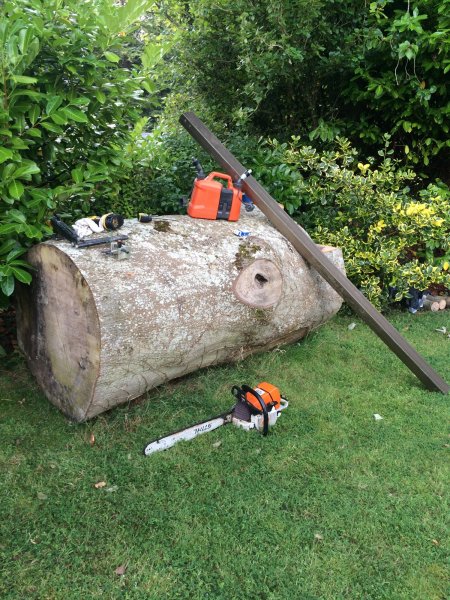 BEECH TREE CLONMEL AUG 2015 388.JPG