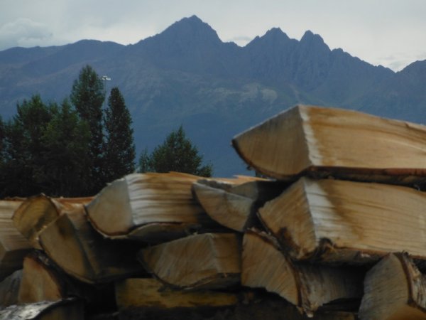 DSCF5439.JPG