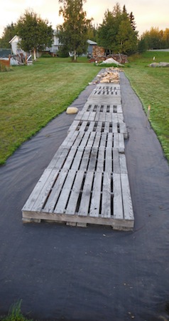 DSCF5455.JPG