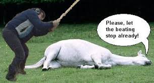 horse.jpg