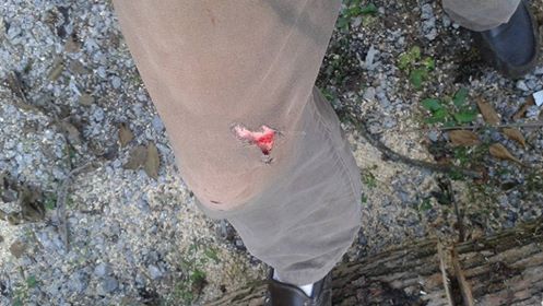 accident.jpg