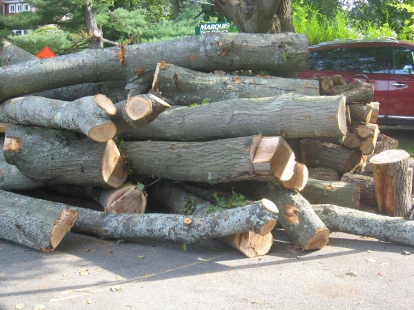 IMG_3505.JPG
