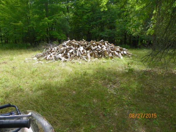 Wood-1.JPG