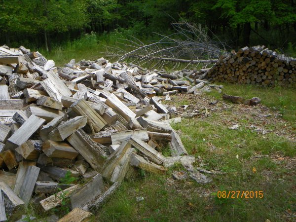 Wood-2.JPG