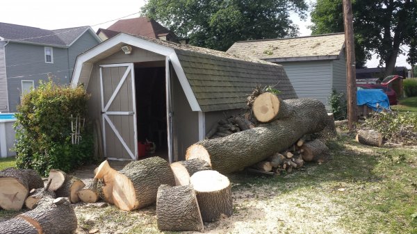 20150823_101124.jpg