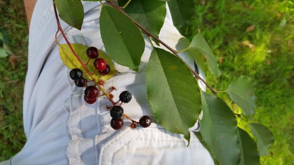 20150829_105654.jpg
