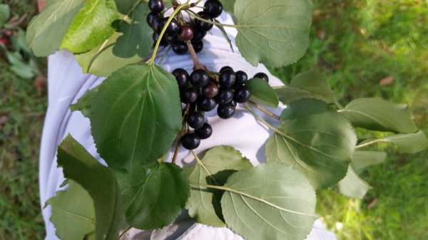 20150829_105633.jpg