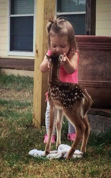 Girl-fawn.jpg