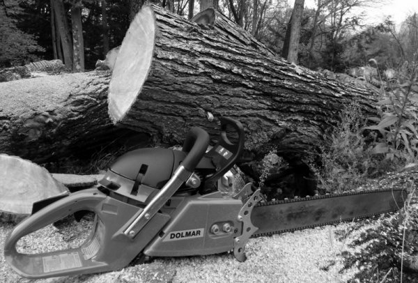 2014-10-21 10-21-2014 PS-7910 28 DWD 003 (800x542).jpg