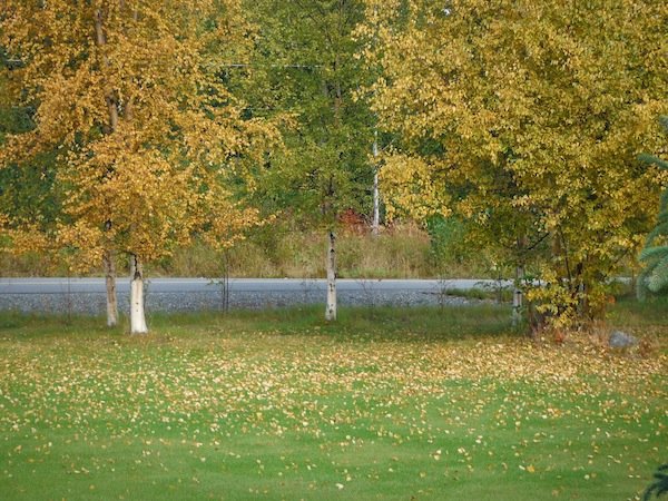 DSCF5531.JPG