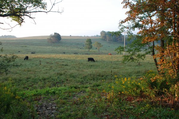 DSC_0555.JPG