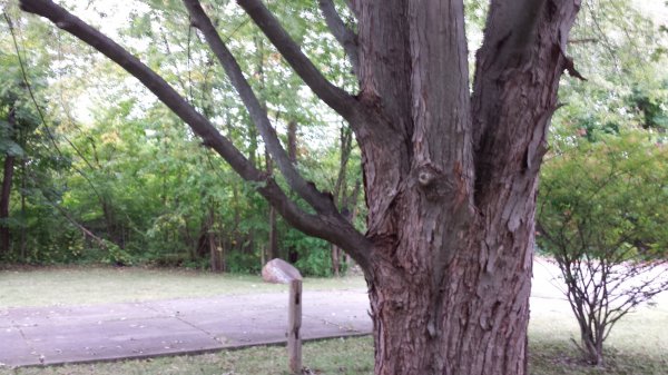 20150918_183119.jpg