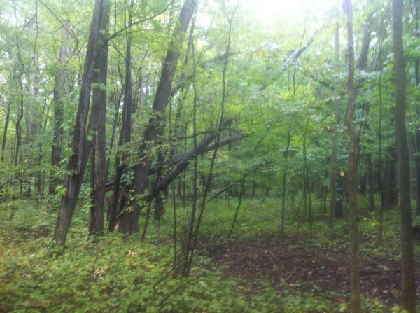 IMG_3677.JPG