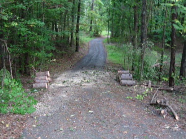 IMG_1375.JPG