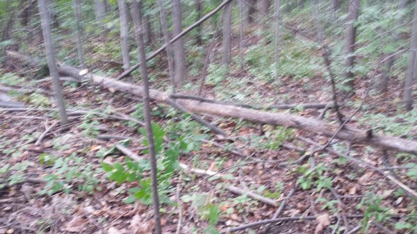 20150920_183005.jpg