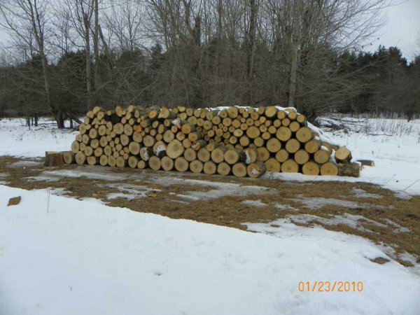 Splitting pile-3.JPG