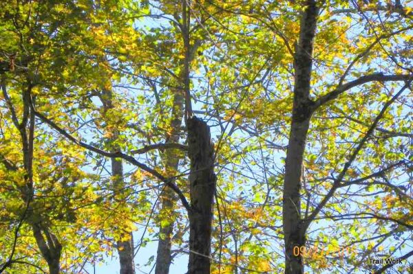 100_9273.JPG