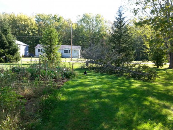 20150927_104253.jpg