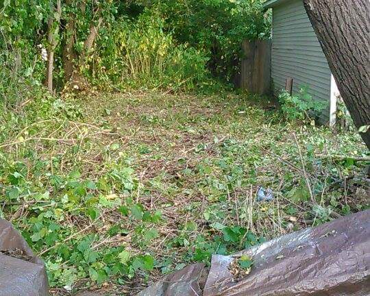 received_1700361136859247.jpeg