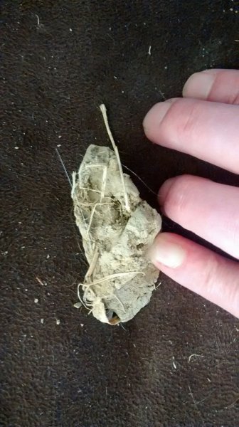 IMG_20151007_174153200 (2).jpg