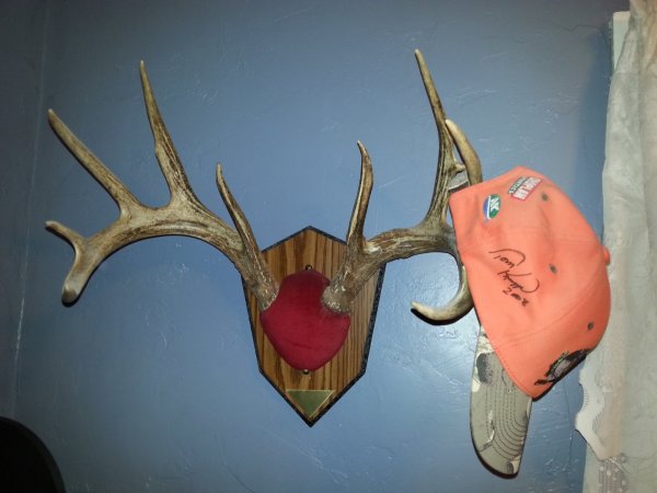 20151008_015801.jpg