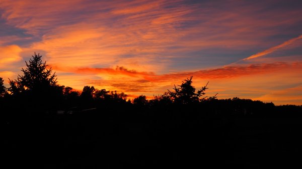 sunset1.jpg