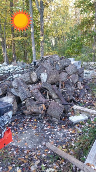 2015-10-12 10.01.33.jpg