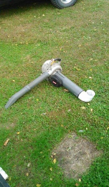 received_1704663336429027.jpeg