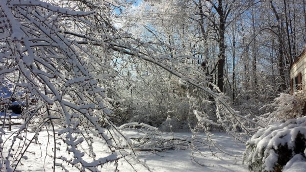 20131224_142733.jpg