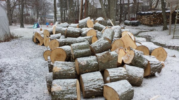 20131224_104531.jpg