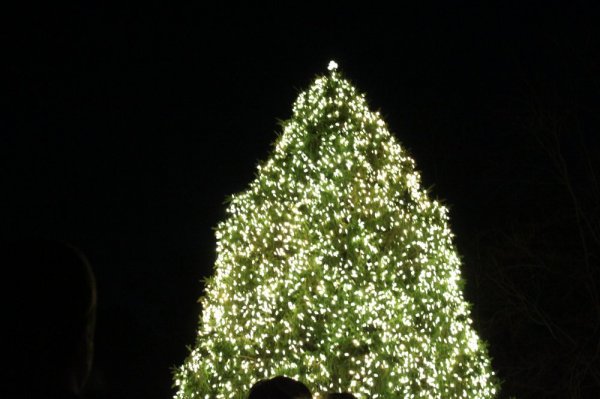 IMG_7550.JPG