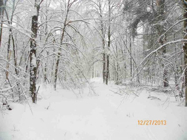 100_8380.JPG