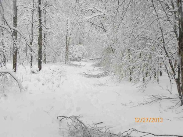 100_8382.JPG