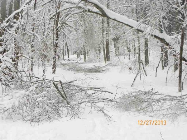 100_8384.JPG
