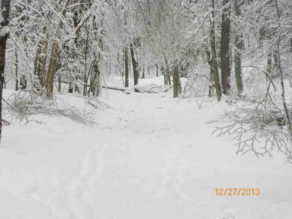 100_8386.JPG