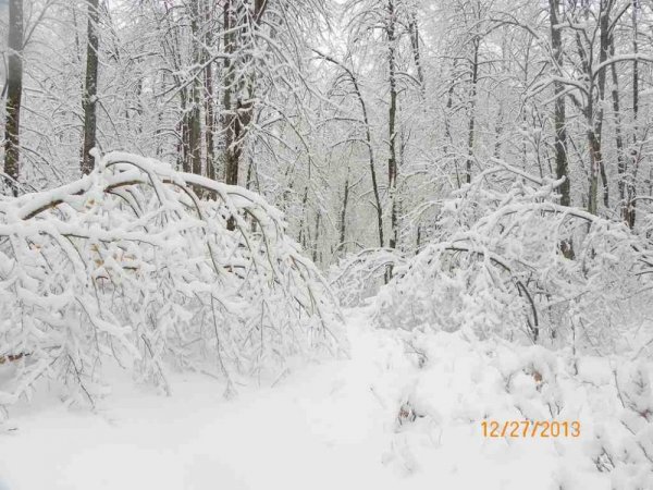 100_8387.JPG