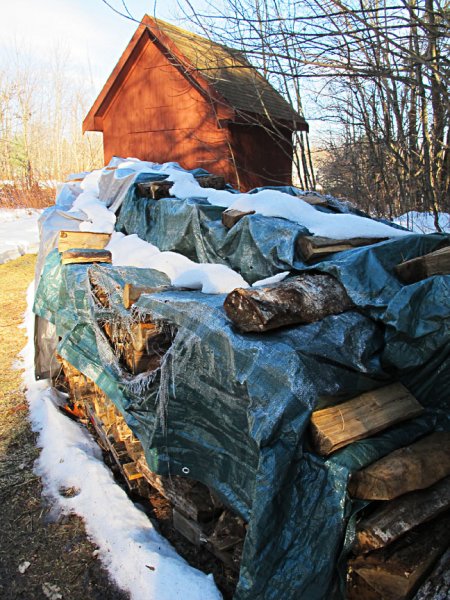 Woodpile 1.jpg